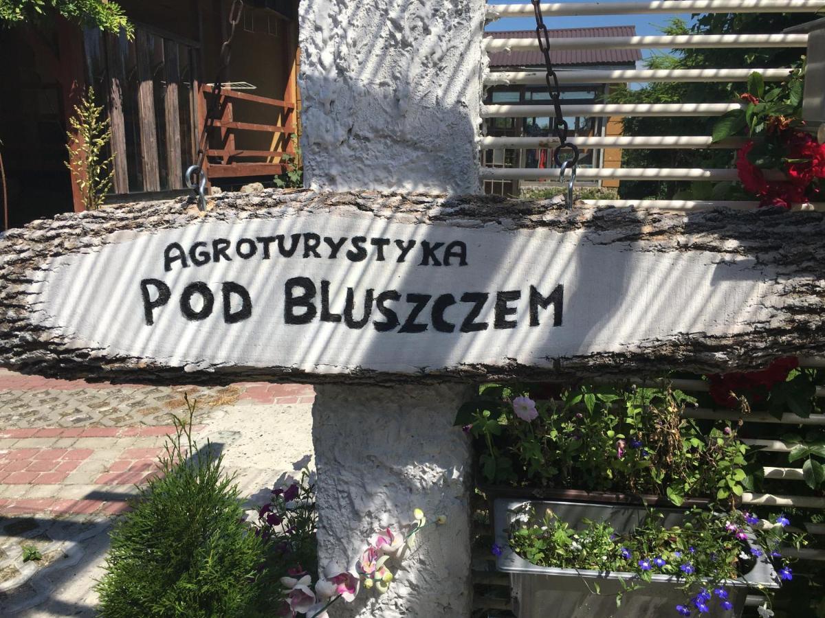 Agroturystyka "Pod Bluszczem" Krasnobrod Exterior photo