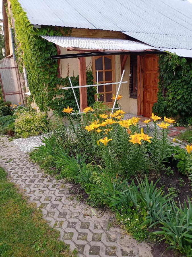 Agroturystyka "Pod Bluszczem" Krasnobrod Exterior photo