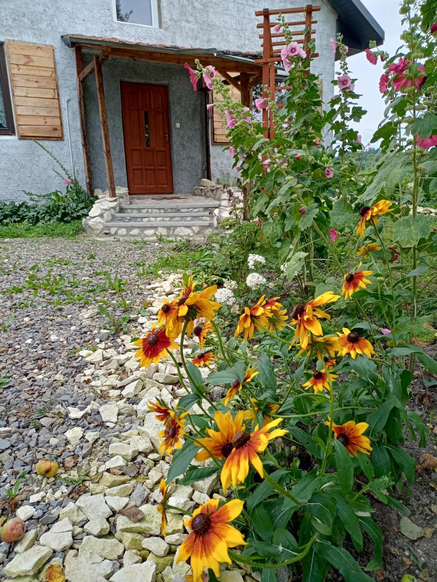 Agroturystyka "Pod Bluszczem" Krasnobrod Exterior photo